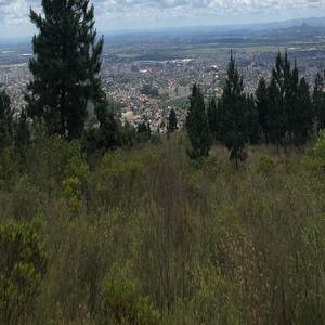 亚洲综合色社区
