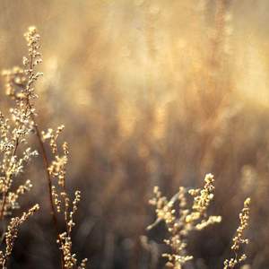 亚洲综合色社区
