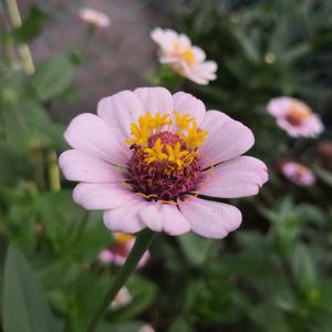 亚洲综合色社区
